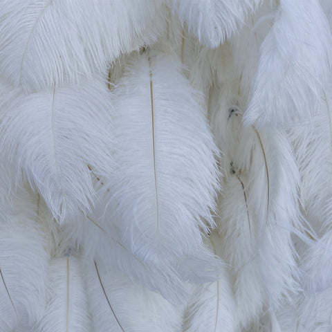 White feather wall background wall Wedding outdoor ostrich feather decorative background flower wall #1121